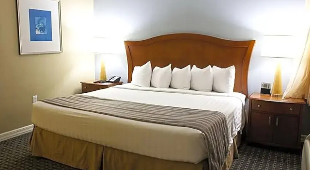Номер Standard c 1 комнатой Club Wyndham Skyline Tower