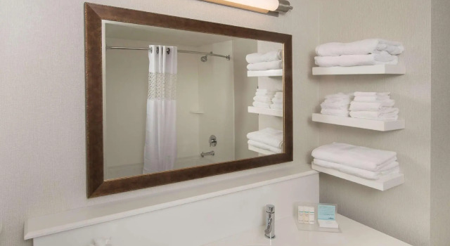Четырёхместный номер Standard Hampton Inn & Suites Braselton