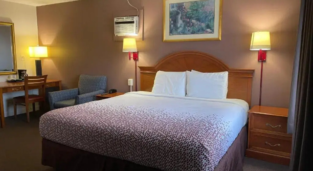 Номер Standard Viking Motel