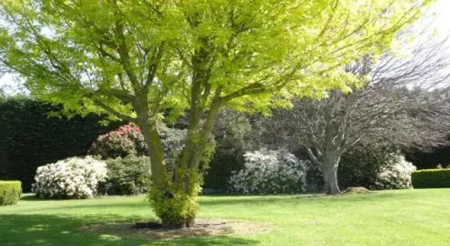 Bellhamys B&B, Buchen Sie Bed & Breakfast Levin Manawatu