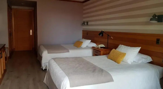 Двухместный номер Executive Hotel Puelche