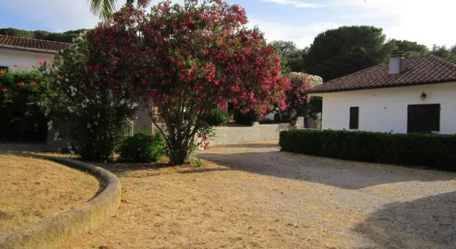 Apartment Baia Azzurra