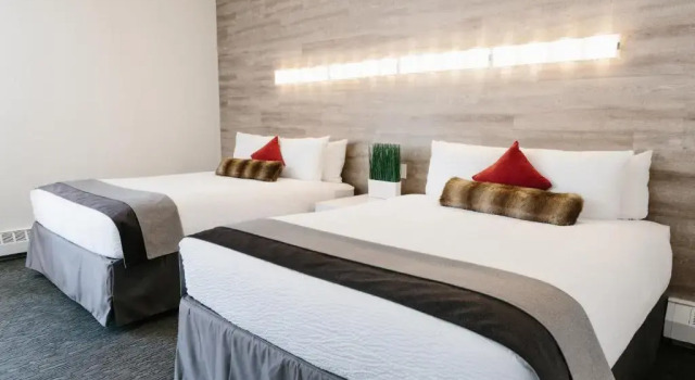 Четырёхместный номер Standard Elk + Avenue Hotel