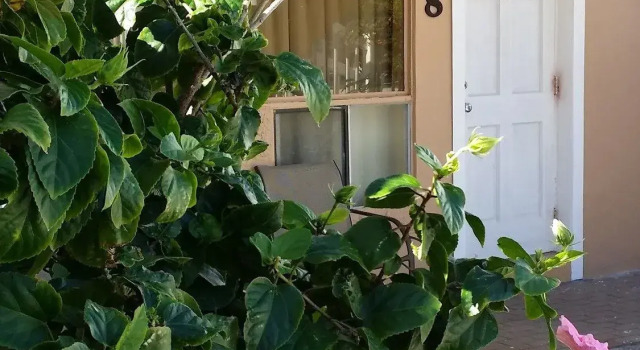 Budget Lodge, Book Mini-hotel Moteller i Broward County, Motel
