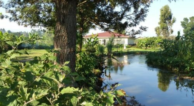 Mucha Hotel, Reserva ahora Hotel Hoteles de negocios en Kisoro, 4* 5*