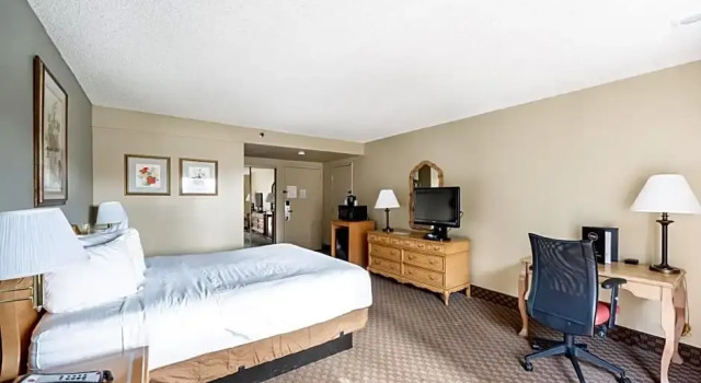 Номер Standard LOGE St. George