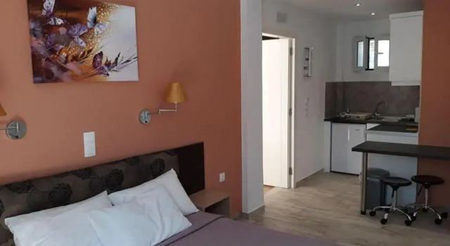 Студия Dolphin Apartments