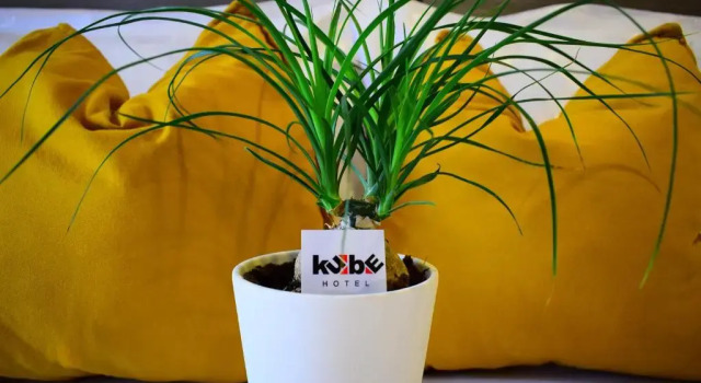 Номер Superior Hotel Kube