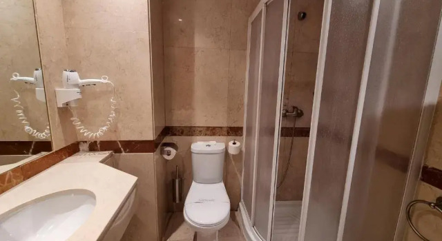 Трёхместный номер Standard Hotel Gran Legazpi