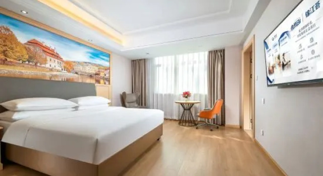 Люкс Superior Vienna Hotel (Shenzhen Henggang & Tangkeng Metro Station)