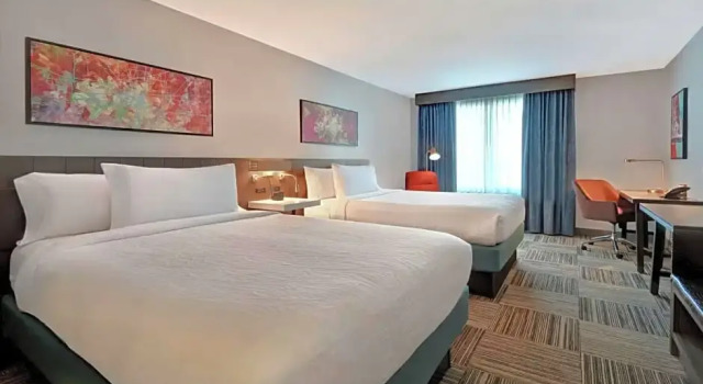 Четырёхместный номер Premium Hilton Garden Inn Houston/Galleria Area