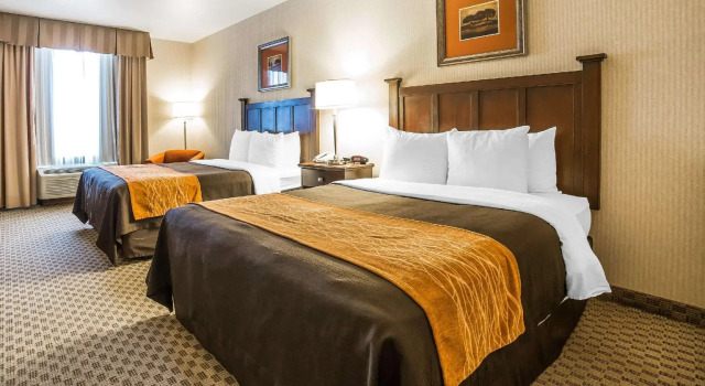 Четырёхместный номер Standard Comfort Inn & Suites Henderson - Las Vegas