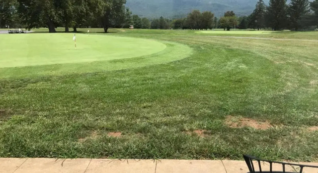 Двухместный номер Standard Shenvalee Golf Resort