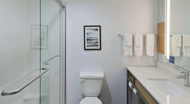 Двухместный номер Standard Hilton Garden Inn Birmingham SE/Liberty Park