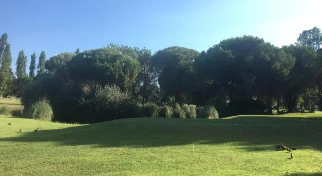 idéal appartement au calme prés du Golf, Rezerwuj Apartament Hotele w Camargue z parkingiem, Parking
