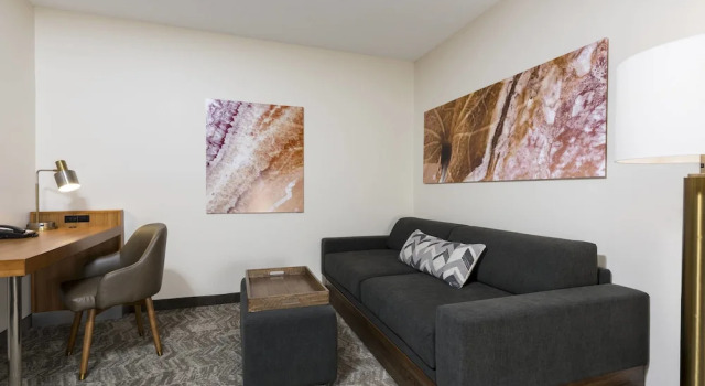 Люкс Deluxe SpringHill Suites by Marriott Grand Rapids North