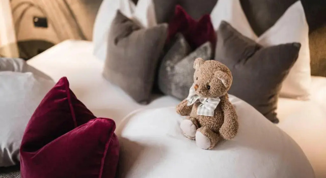 Номер Standard Alpine Boutique Villa Gabriela