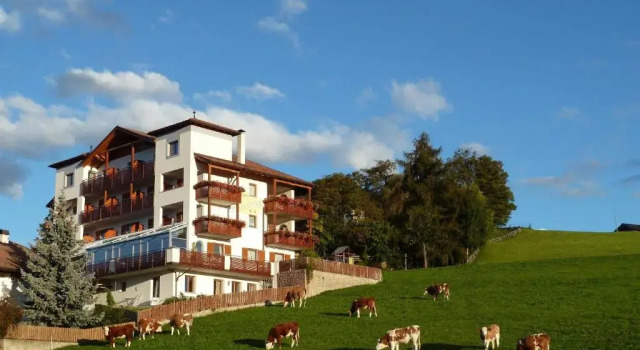 Номер Standard Pension Schlaneiderhof