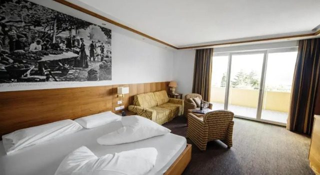 Полулюкс Hotel Anatol