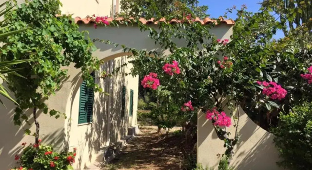 Апартаменты Surra Mediterranean Apartments