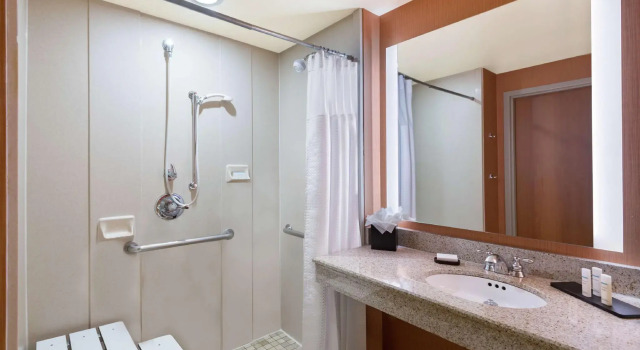 Четырёхместный номер Standard Embassy Suites by Hilton Saint Louis Saint Charles