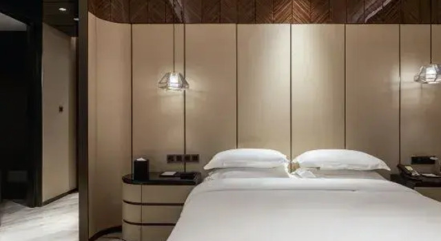 Люкс Comfort Wellton International Hotel (Ganzhou Baoneng City)