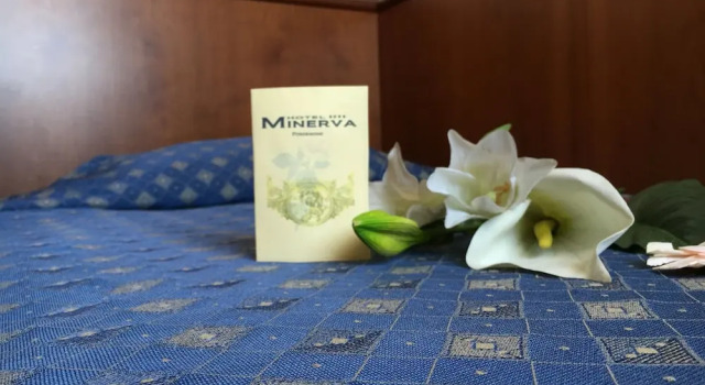 Номер Classic Hotel Minerva
