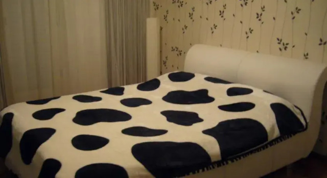 Apartment Monika, Забронировать Апартаменты/квартира Задар Задарская жупания, рядом с Пляж Мушки