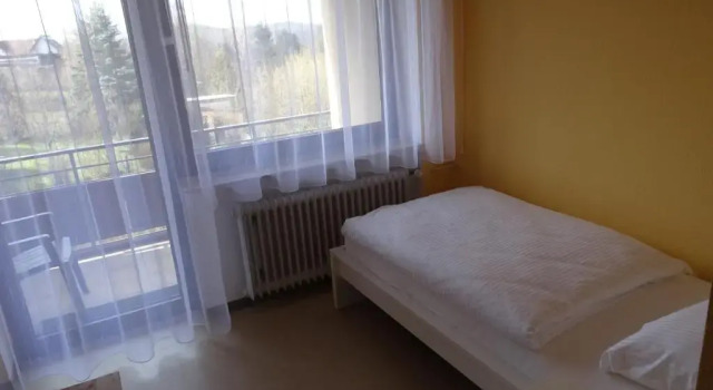 Одноместный номер Standard Hotel-Pension Schlossgarten