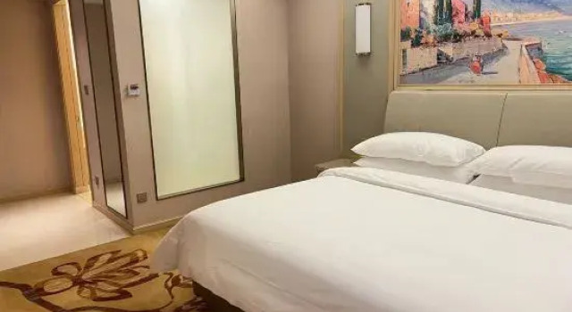 Люкс Deluxe Vienna International Hotel (Baoding Yuhua Road Branch)