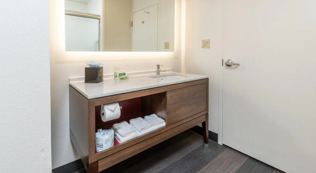 Четырёхместный номер Standard Holiday Inn & Suites Memphis - Wolfchase Galleria by IHG