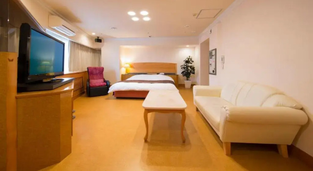 Двухместный номер Deluxe Hotel Alps