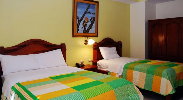 Двухместный номер Economy Hotel Perla Verde