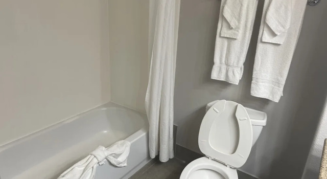 Люкс c 1 комнатой Country Inn & Suites by Radisson, College Station, TX