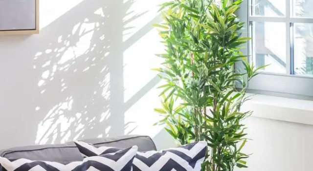 Апартаменты Apartment Bonfim Perfect Stays