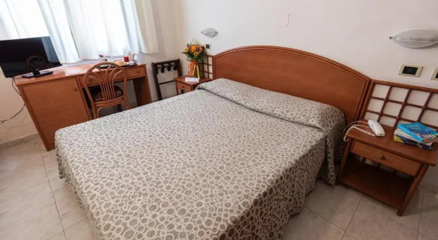 Двухместный номер Economy Hotel il Delfino