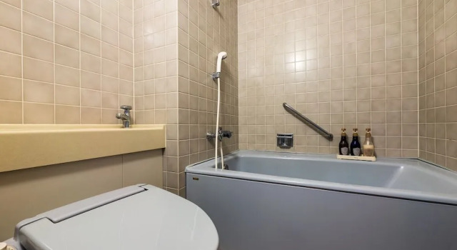Двухместный номер Standard с видом на окрестности Aso Resort Grandvrio Hotel