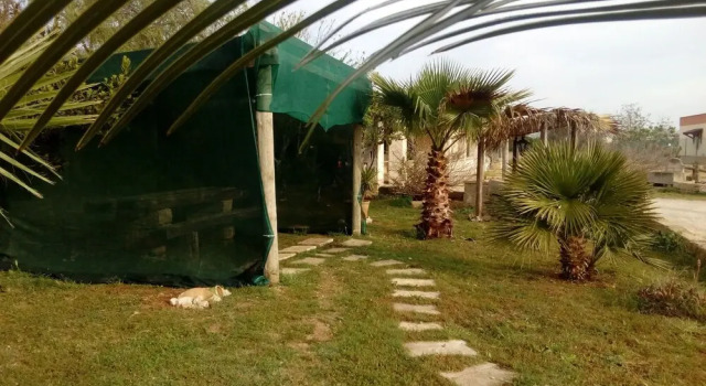Guest House Paradiso