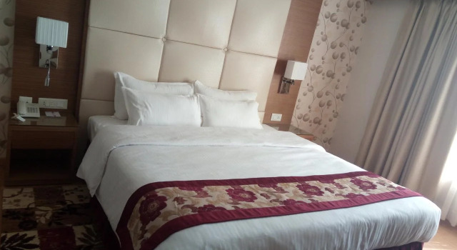 Hotel Harrison Palace