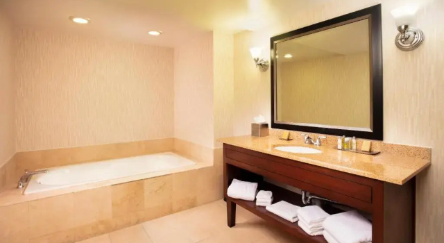 Трёхместный номер Standard Doubletree by Hilton Columbia, SC