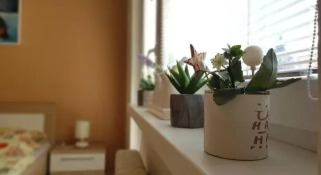 Apartman Valentina, Забронировать Апартаменты/квартира Злин 