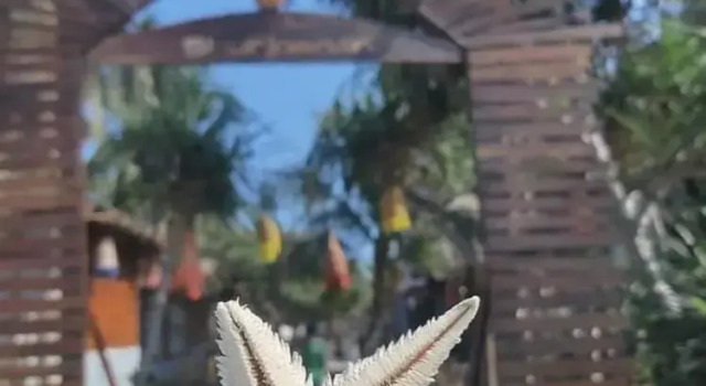 Коттедж Deluxe Shurjo Snan Twin Beach Resort