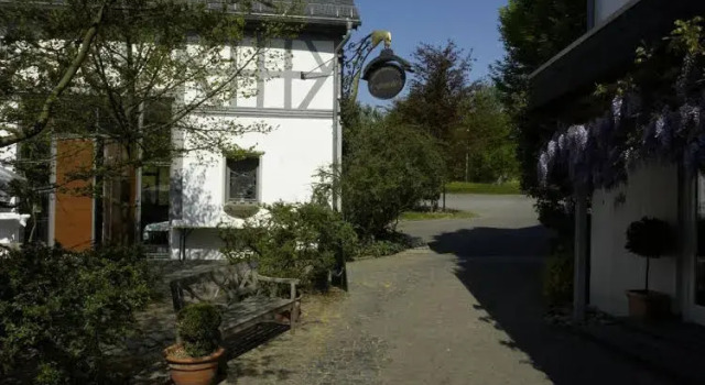Hotel Freimühle, Book Hotel Hotels in Westerwald with a Pool, Swimming Pool