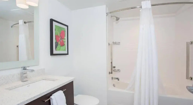Двухместный люкс TownePlace Suites by Marriott Knoxville Oak Ridge