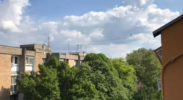 Apartman Kej, Забронировать Апартаменты/квартира Нови-Сад Воеводина