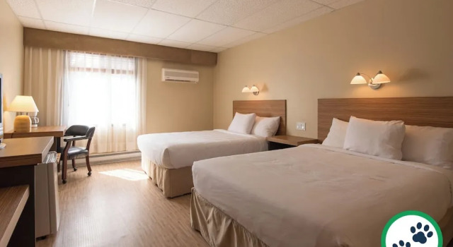 Четырёхместный номер Comfort Hôtel Aquamer