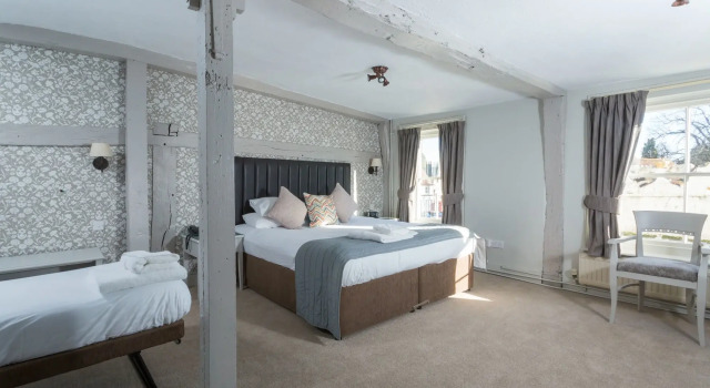 Dog & Bear Hotel