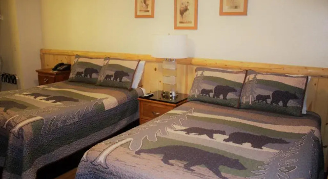 Двухместный номер Standard Fireside Lodge