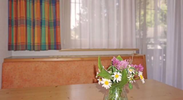 Apartment Diana Pettneu am Arlberg 14008, Забронировать Апартаменты/квартира Апартаменты Тироля, Апартаменты/квартира