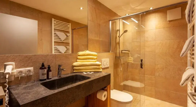 Двухместный номер Standard с видом на горы Sporthotel Bachmann
